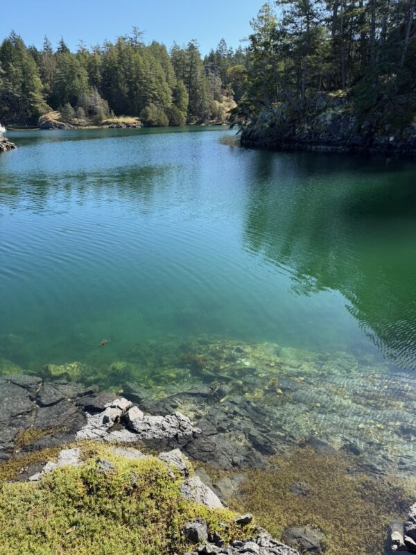 Sunshine Coast, British Columbia, Canada. Image © PlanetSKI